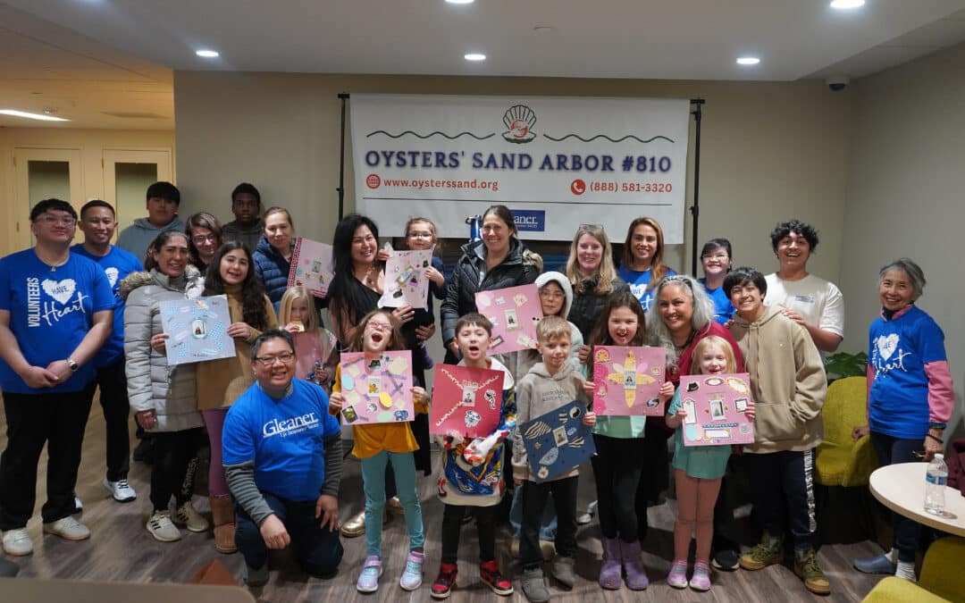 OSA Activity Report January 2026